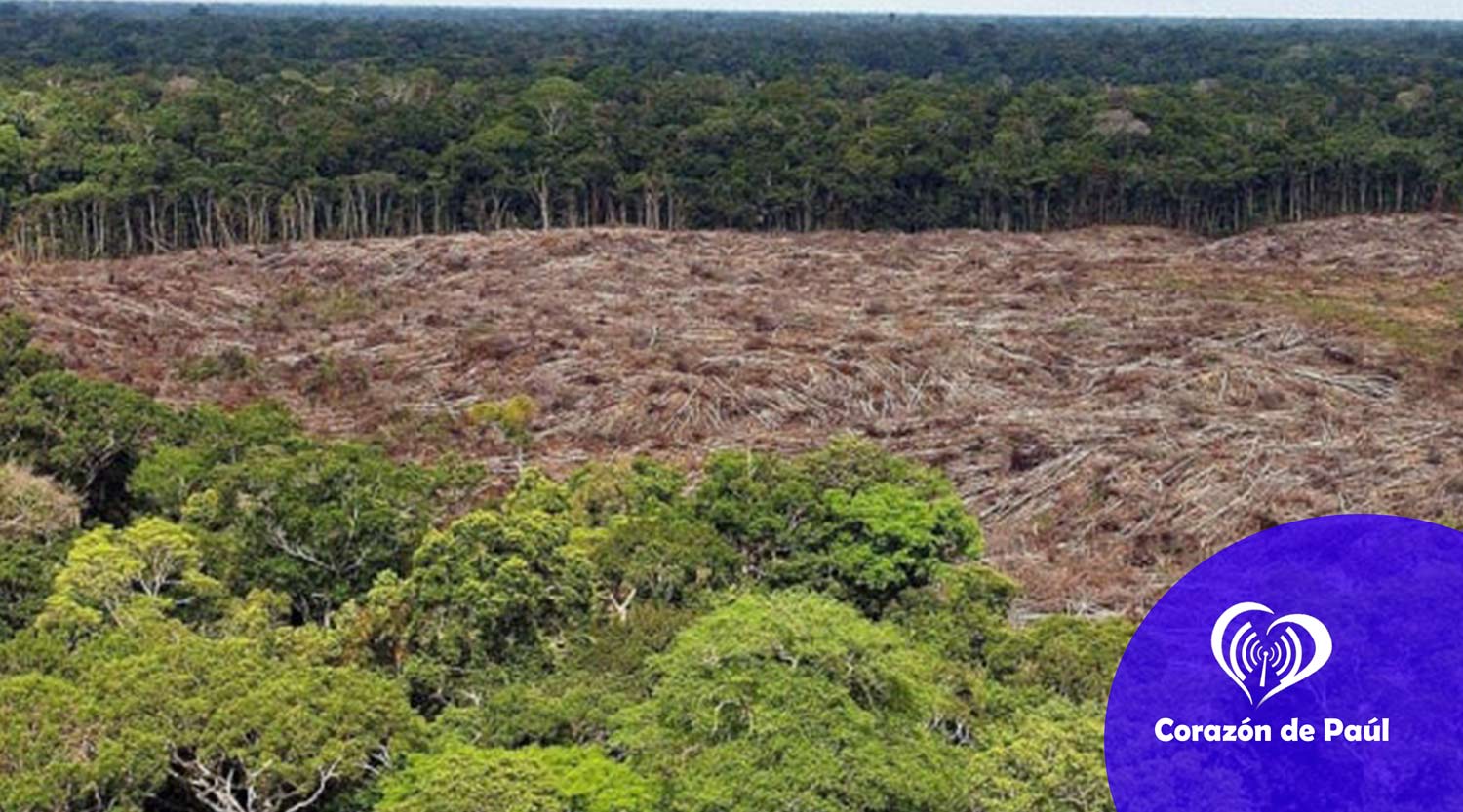 El proyecto neoliberal en el mundo es anti-vida y enemigo de la naturaleza- Leonardo Boff