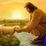 Homilía IV Domingo de Pascua ciclo c