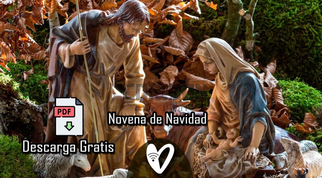 Novena de Navidad 2024- Camino Sinodal en Esperanza